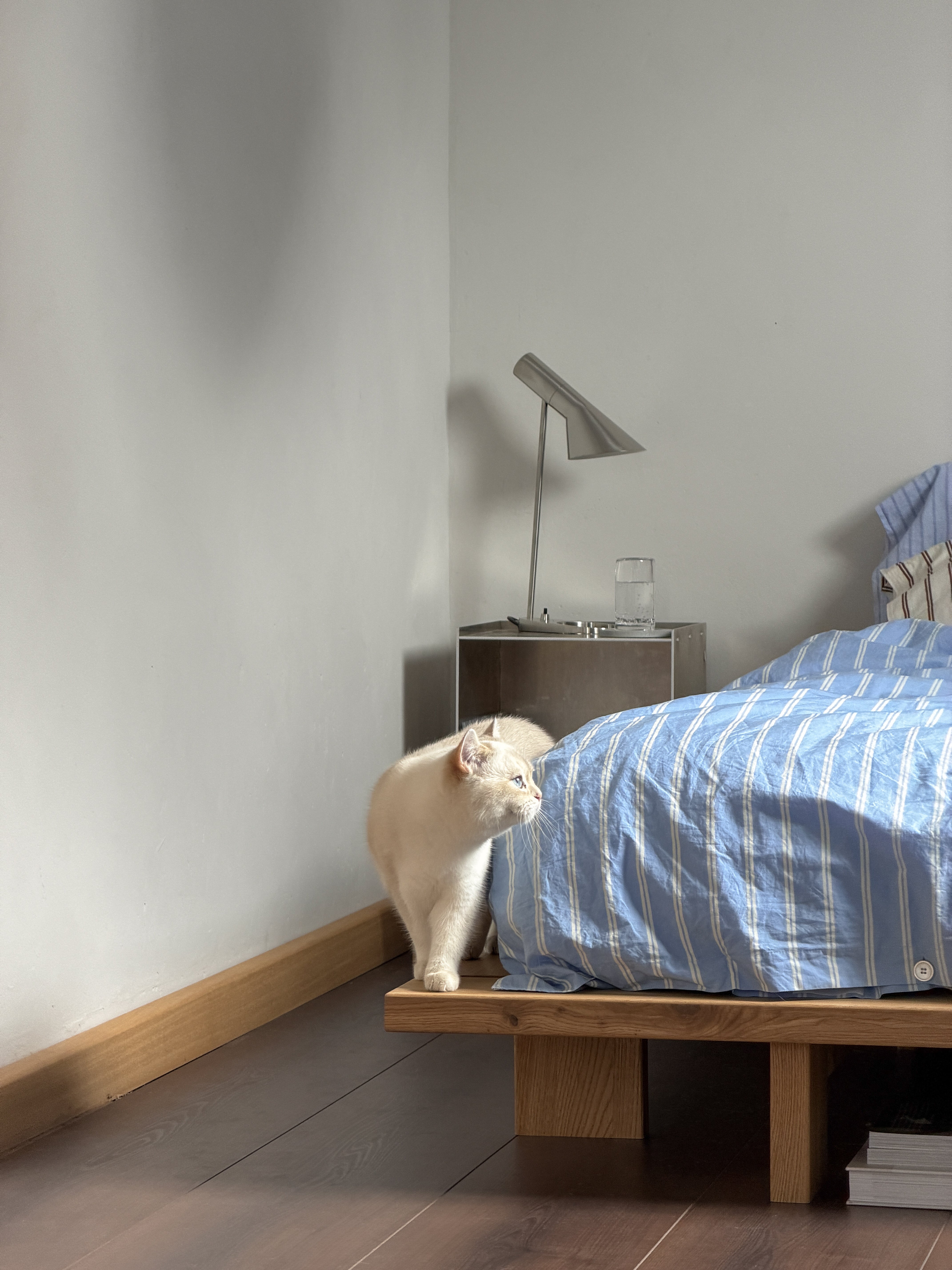 JAPAN BED OAK 90 X 200