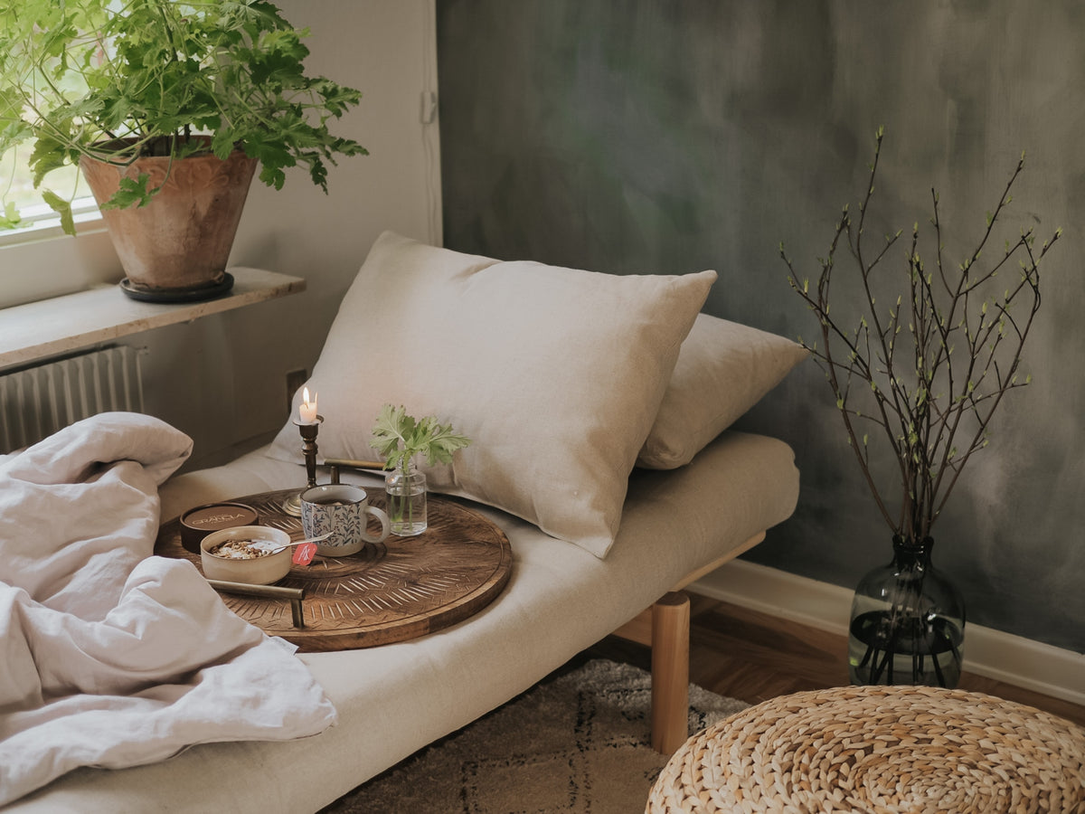 PACE DAYBED CLEAR LACQUERED W. 4-LAYER MIXED MATTRESS DARK GREY