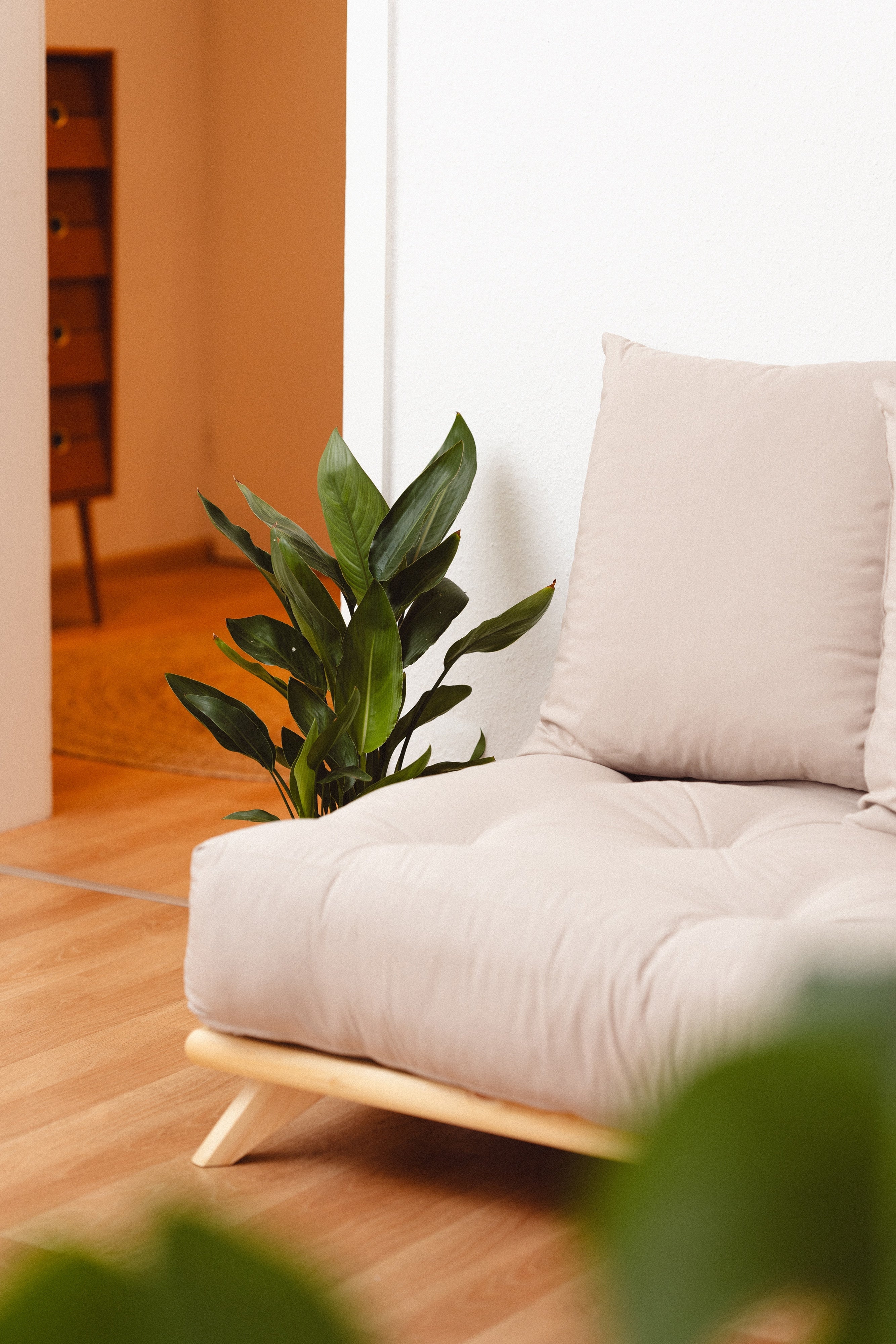 SENZA DAYBED CLEAR LACQUERED W. SENZA DAYBED MATTRESS SET NAVY